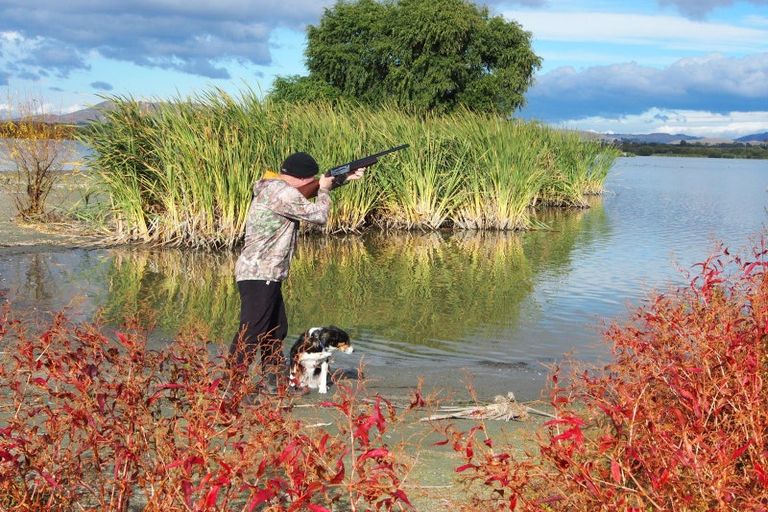 Photo of property in 11 Jensen Drive, Waipukurau, 4282