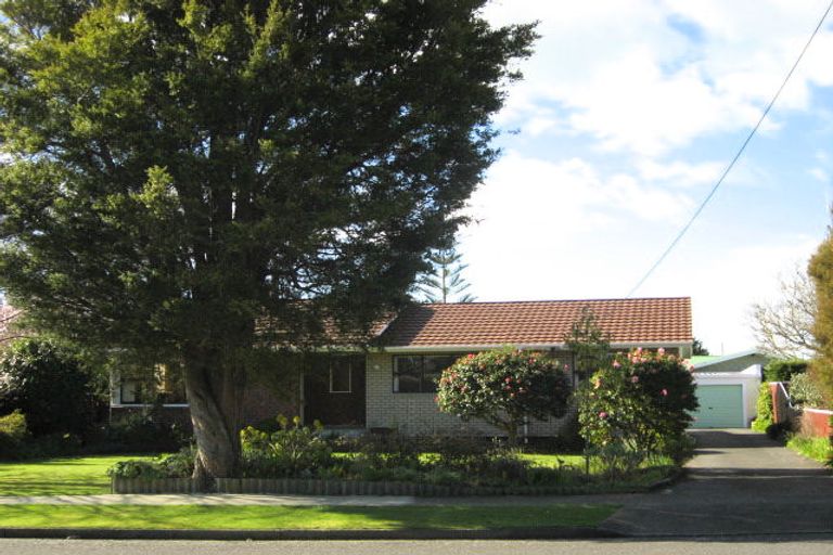 Photo of property in 63 Macarthur Street, Levin, 5510