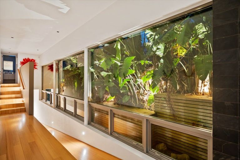 Photo of property in 53 Olsen Avenue, Mangawhai Heads, Mangawhai, 0505