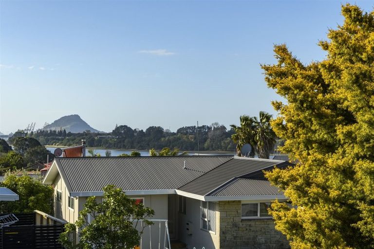 Photo of property in 21 Maihi Crescent, Maungatapu, Tauranga, 3112