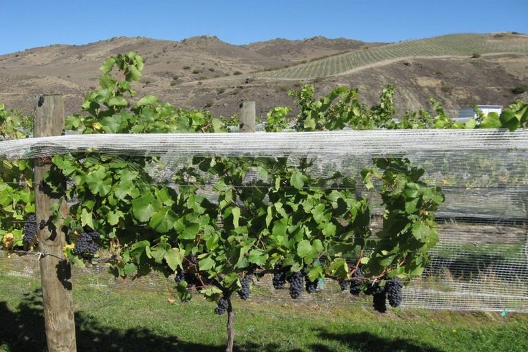 Photo of property in 1 Cairnmuir Crescent, Cromwell, 9310