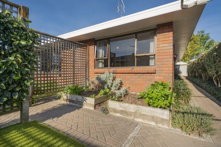 Photo of property in 109 Edgecumbe Road, Tauranga South, Tauranga, 3112