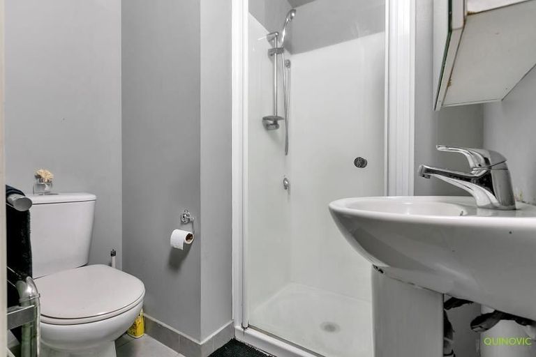 Photo of property in Harvard On Hobson Apartments, 2n/147 Hobson Street, Auckland Central, Auckland, 1010