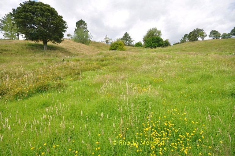 Photo of property in 318 Franklin Road, Paparoa, 0571