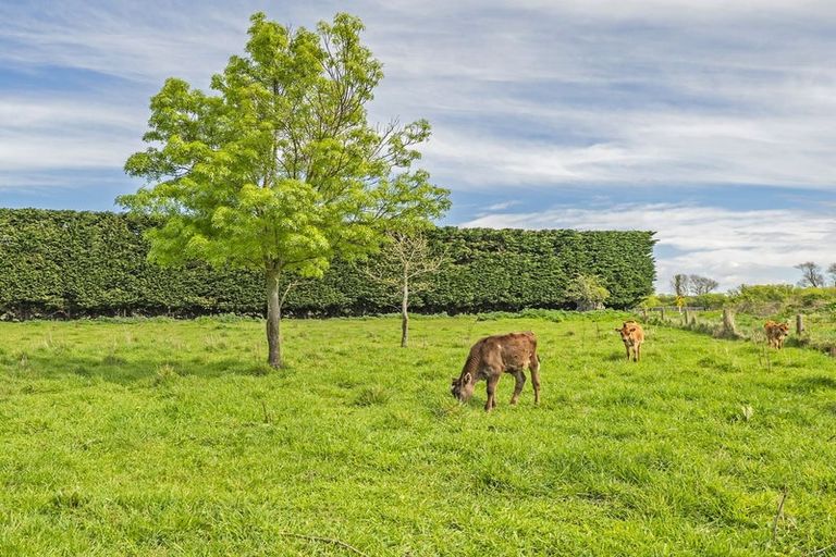 Photo of property in 617 Days Road, Springston, Christchurch, 7674