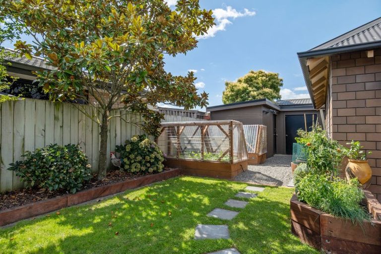 Photo of property in 8 Tavera Street, Blenheim, 7201