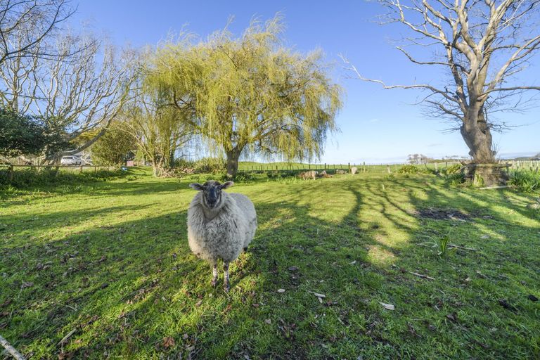 Photo of property in 1516 State Highway 1, Glen Oroua, Foxton, 4891