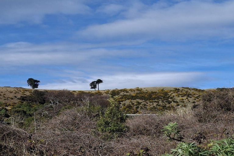 Photo of property in 903a Harington Point Road, Harington Point, Dunedin, 9077