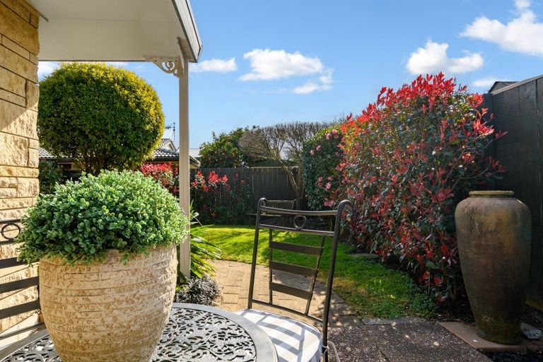 Photo of property in 2/81 Sixth Avenue, Tauranga, 3110