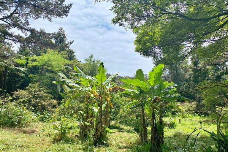 Photo of property in 308 Henderson Bay Road, Houhora, Kaitaia, 0484