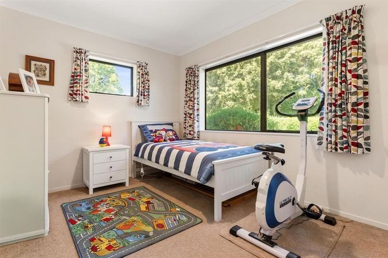 Photo of property in 928 Omanawa Road, Omanawa, Tauranga, 3171