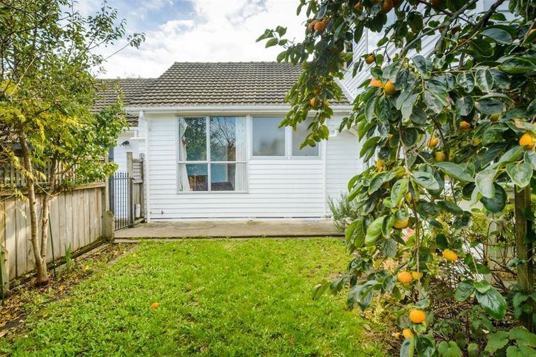 Photo of property in 118 Fitzroy Street, Terrace End, Palmerston North, 4410