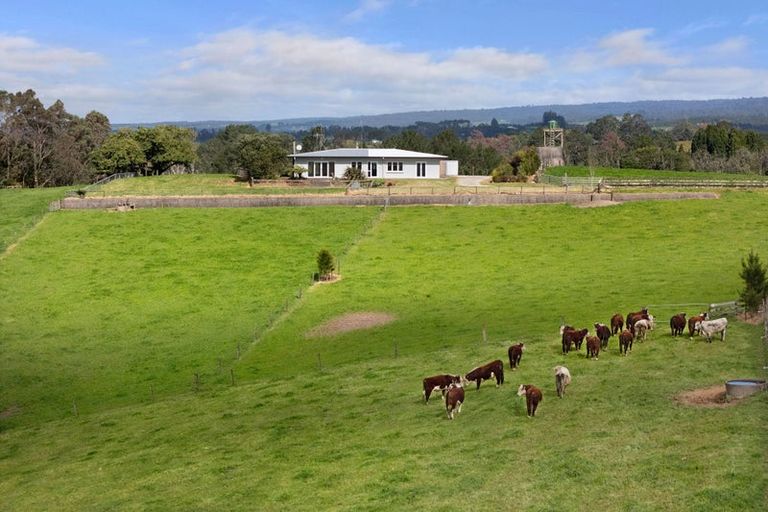 Photo of property in 291 Rea Road, Tahawai, 3178