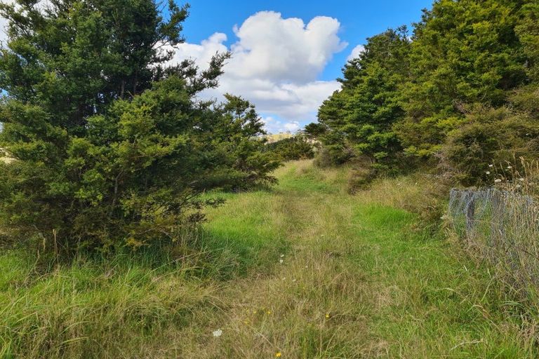 Photo of property in 304 Arapaoa Road, Tinopai, Matakohe, 0593