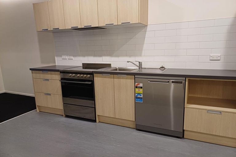 Photo of property in Te Kainga, 195 Willis Street, Te Aro, Wellington, 6011