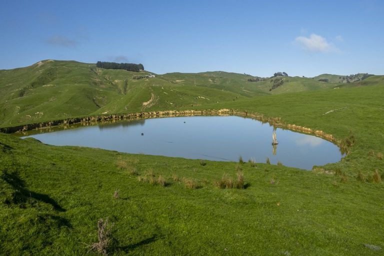 Photo of property in 425 Daggs Road, Bideford, Masterton, 5882