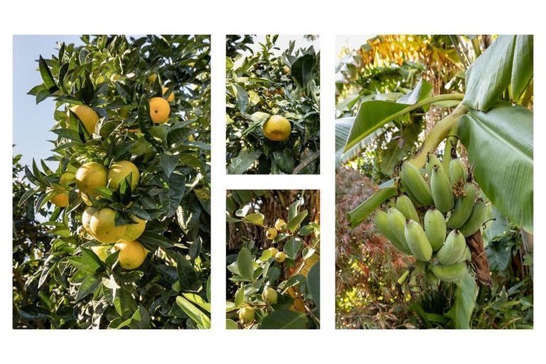 Photo of property in 240d Omokoroa Road, Omokoroa, Tauranga, 3114