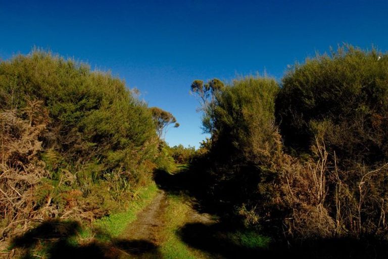 Photo of property in 116 South Terrace Road, Karamea, 7893