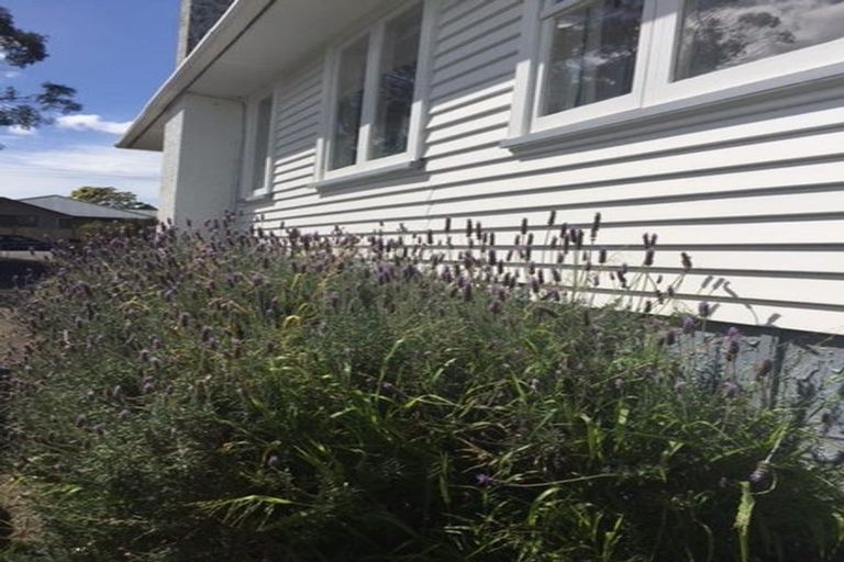 Photo of property in 28 Trigg Road, Huapai, Kumeu, 0810