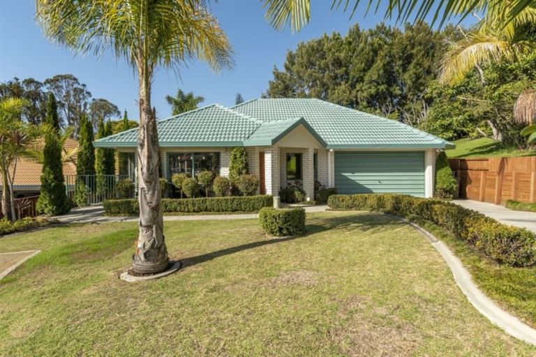 Photo of property in 19 Highgrove Place, Bethlehem, Tauranga, 3110