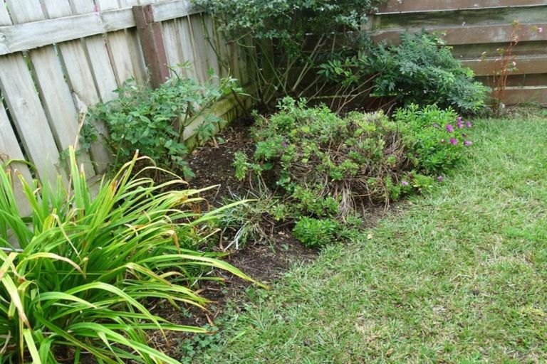 Photo of property in 5/20 Towers Street, Paeroa, 3600