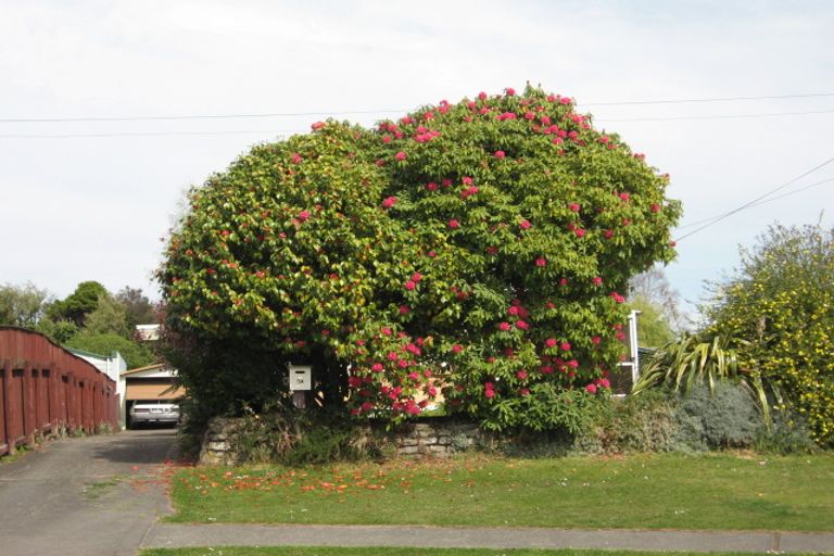 Photo of property in 54 Meadowbank Crescent, Fordlands, Rotorua, 3015