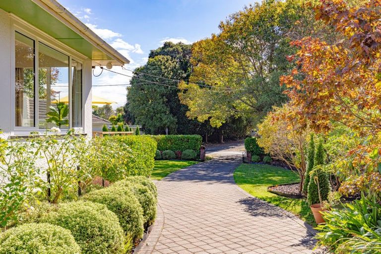 Photo of property in 14 Oakland Avenue, Saint Johns Hill, Whanganui, 4500