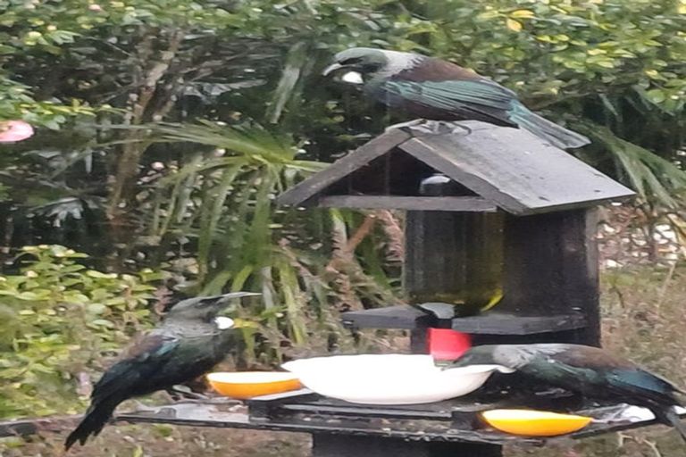 Photo of property in 15a Kingsley Street, Leamington, Cambridge, 3432