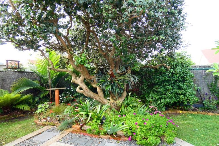 Photo of property in 120 Queen Sh25 Street, Thames, 3500