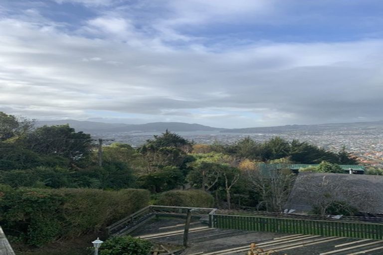 Photo of property in 40 Earls Road, Saint Clair, Dunedin, 9012