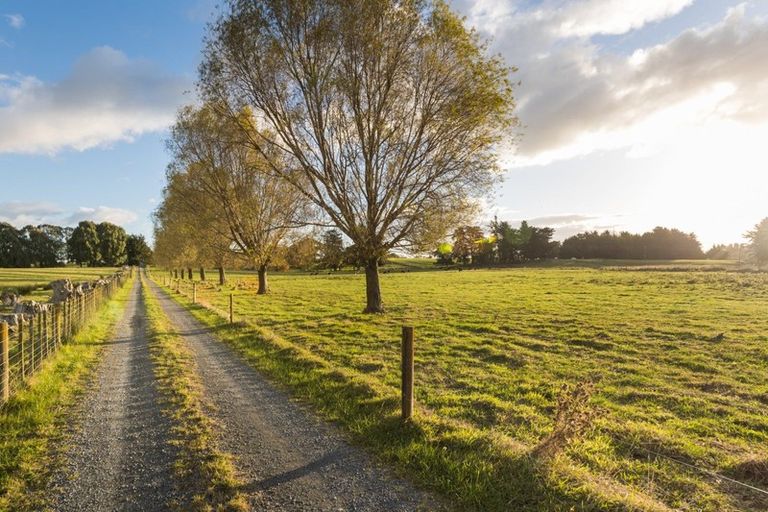 Photo of property in 335 Tutaki Road, Kelvin Grove, Palmerston North, 4470