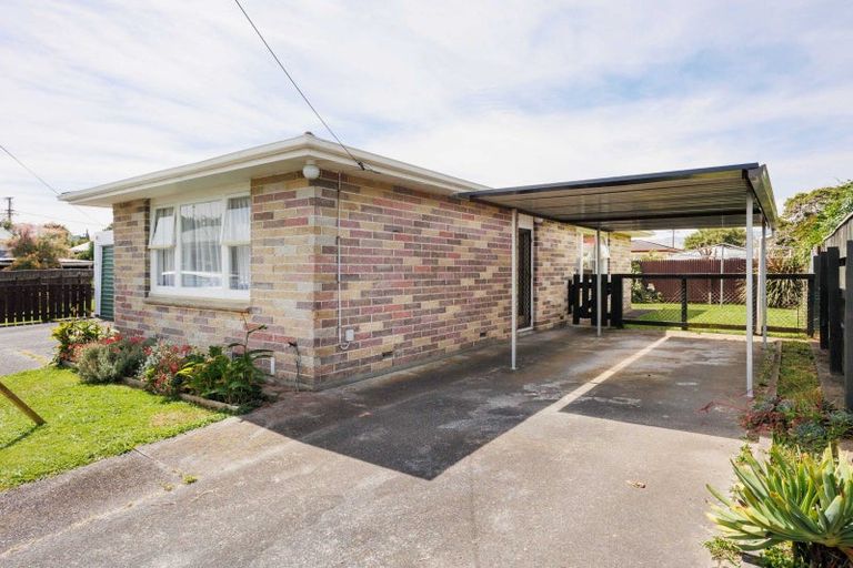 Photo of property in 4 Alice Place, Levin, 5510