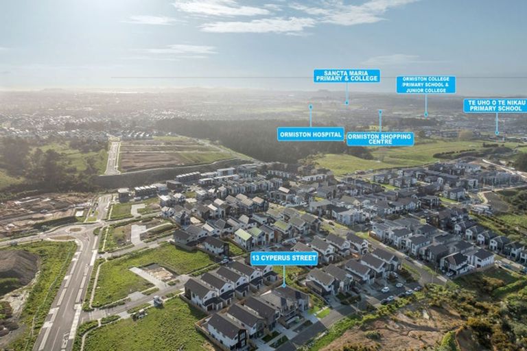 Photo of property in 13 Cyperus Street, Flat Bush, 2019