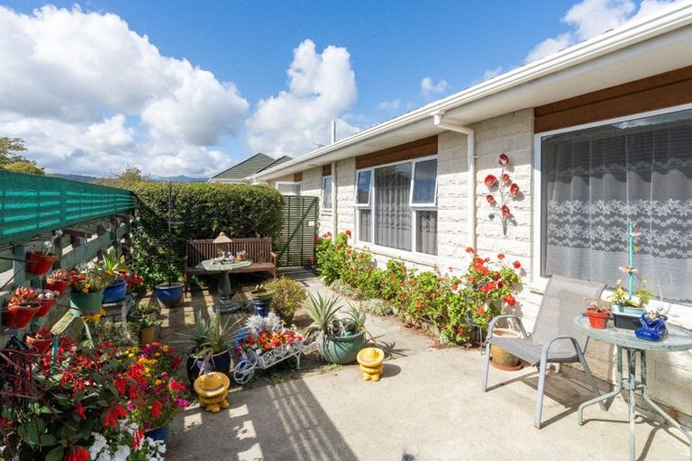 Photo of property in 154 Winchester Street, Levin, 5510