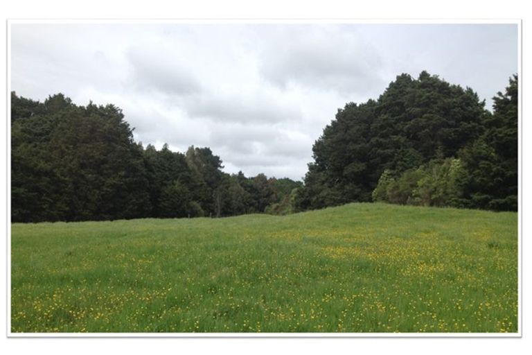 Photo of property in 62 Old Coach Way, Ramarama, Drury, 2579