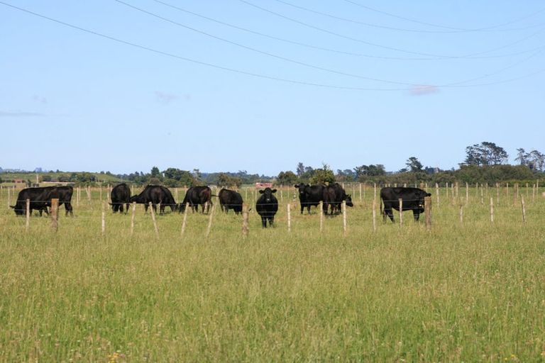 Photo of property in 550 Mountain Road, Lepperton, New Plymouth, 4373