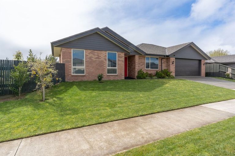 Photo of property in 261 Dixon Road, Fitzroy, Hamilton, 3206