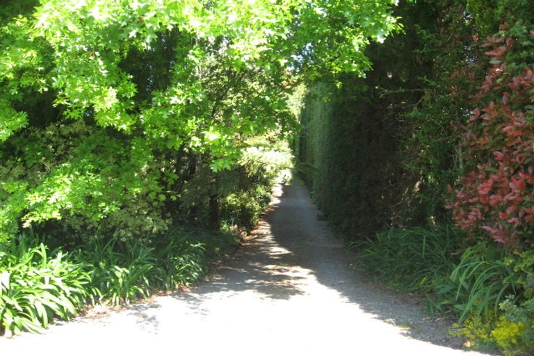 Photo of property in 120 Plummers Point Road, Whakamarama, Tauranga, 3172