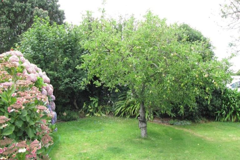 Photo of property in 6 Winter Street, Mangapapa, Gisborne, 4010