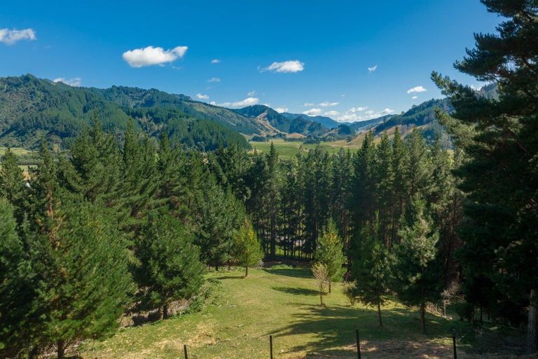 Photo of property in 2135 State Highway 6, Okaramio, Havelock, 7178