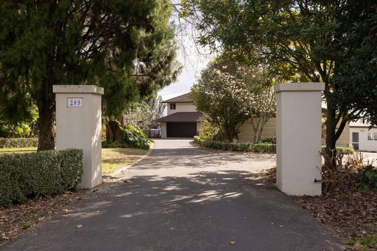 Photo of property in 289 Pahoia Road, Whakamarama, Tauranga, 3172