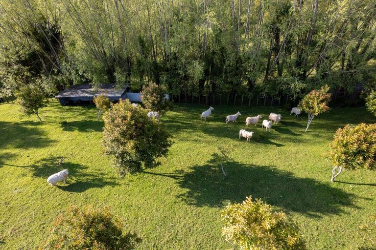 Photo of property in 11 North Way, Titirangi, Auckland, 0604