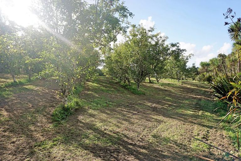 Photo of property in 37 Shaw Road, Oratia, Auckland, 0604