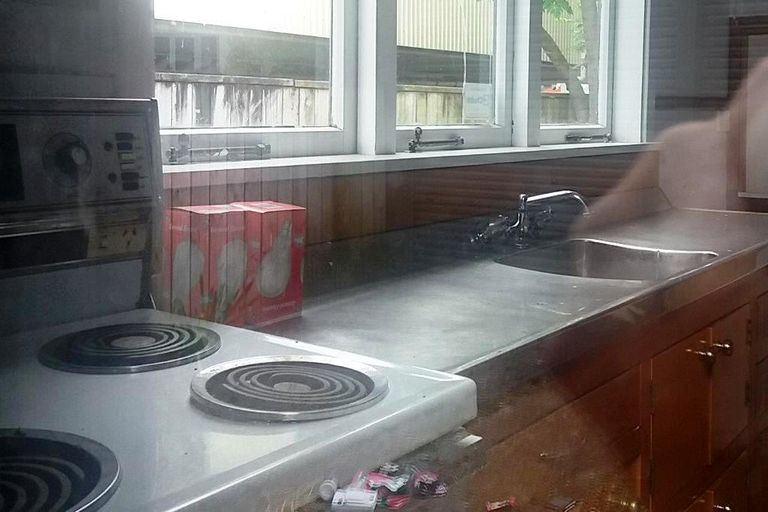 Photo of property in 146 Ulster Street, Whitiora, Hamilton, 3200