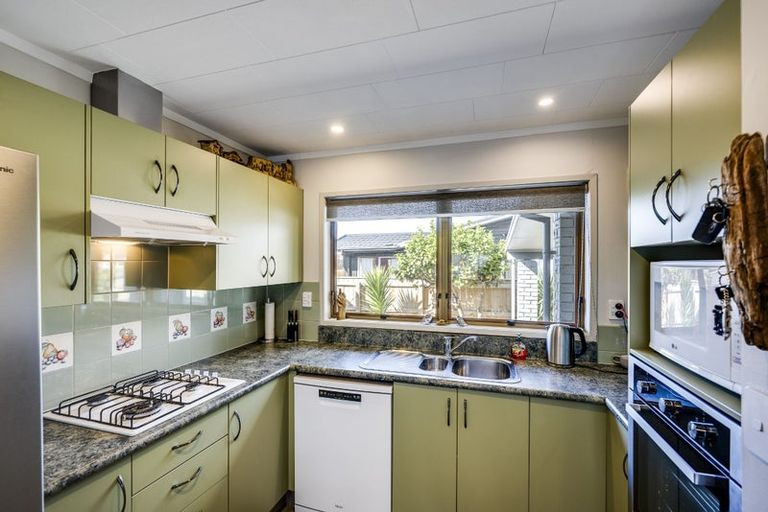 Photo of property in 44 Guppy Road, Greenmeadows, Napier, 4112