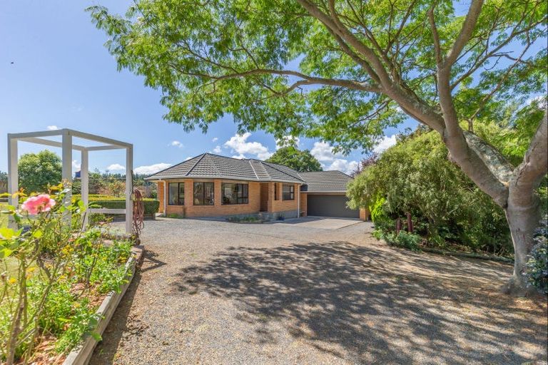 Photo of property in 223 Heatherlea East Road, Levin, 5571