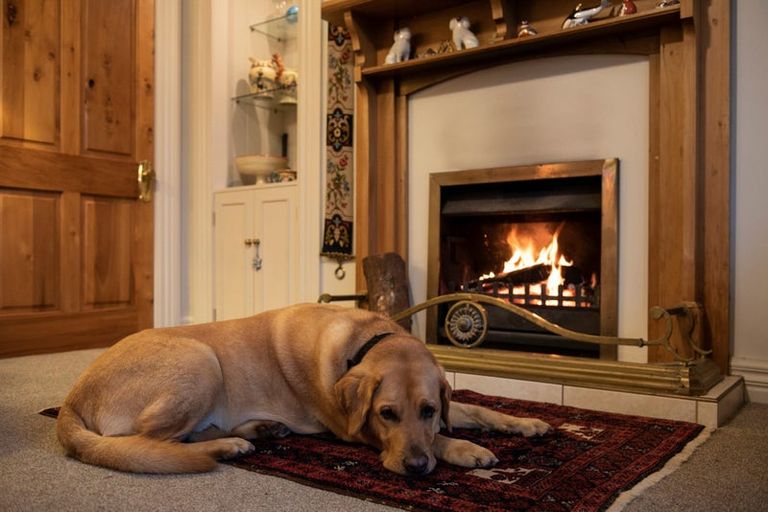 Photo of property in 445 Matangi Road, Matangi, Hamilton, 3284