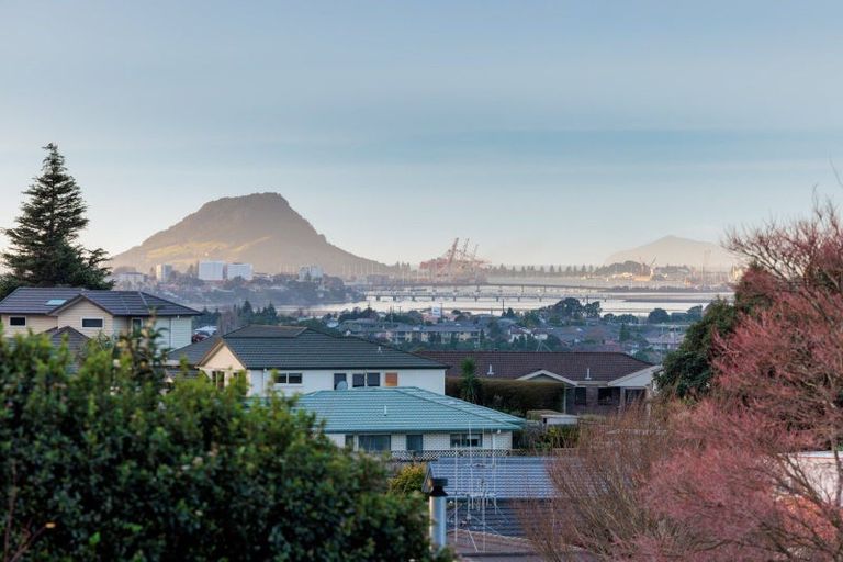 Photo of property in 48 Buxton Place, Ohauiti, Tauranga, 3112