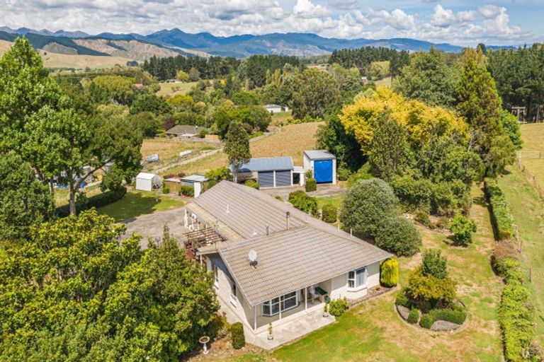 Photo of property in 213 Heatherlea Road East, Levin, 5571