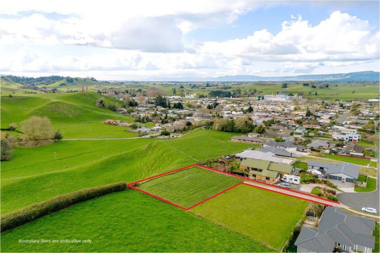 Photo of property in 26 Fairview Street, Tirau, 3410